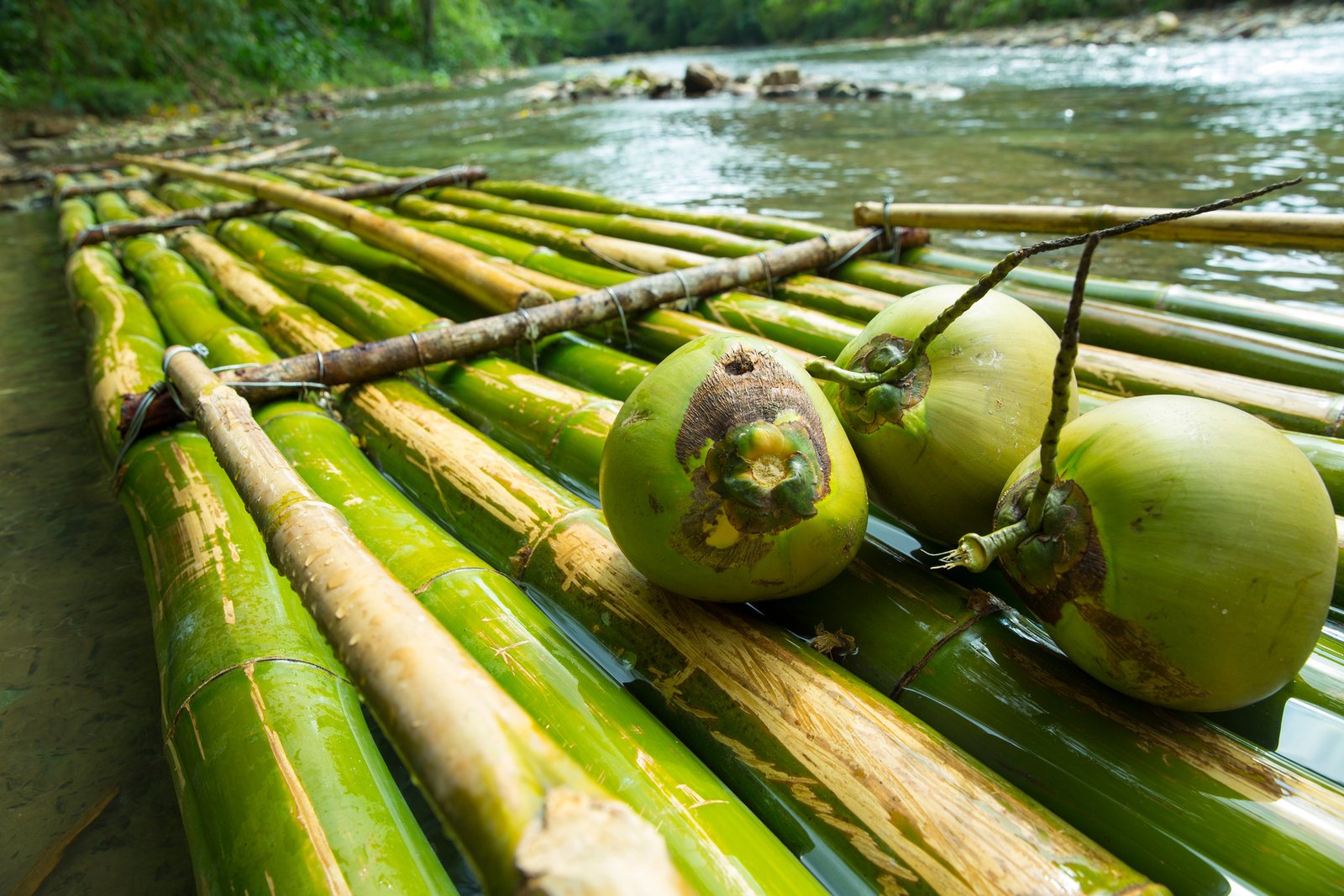Traditional bamboo raft captain navigating the river