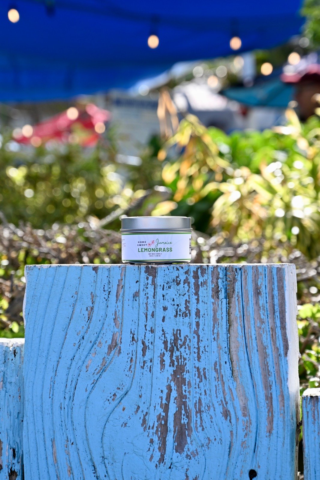 Lemongrass candle in garden